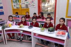 K H Modi Kindergarten Jr. Kg. Vegetable and Fruit Exhibition 2019