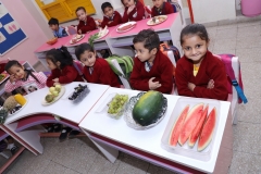 K H Modi Kindergarten Jr. Kg. Vegetable and Fruit Exhibition 2019