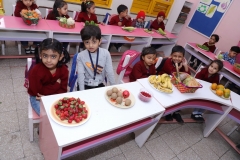 K H Modi Kindergarten Jr. Kg. Vegetable and Fruit Exhibition 2019