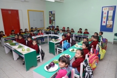 K H Modi Kindergarten Jr. Kg. Vegetable and Fruit Exhibition 2019