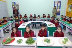 K H Modi Kindergarten Jr. Kg. Vegetable and Fruit Exhibition 2019