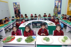 K H Modi Kindergarten Jr. Kg. Vegetable and Fruit Exhibition 2019