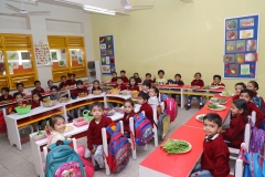 K H Modi Kindergarten Jr. Kg. Vegetable and Fruit Exhibition 2019