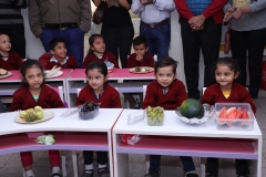 K H Modi Kindergarten Jr. Kg. Vegetable and Fruit Exhibition 2019