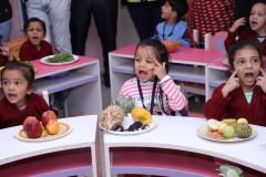 K H Modi Kindergarten Jr. Kg. Vegetable and Fruit Exhibition 2019