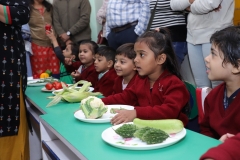 K H Modi Kindergarten Jr. Kg. Vegetable and Fruit Exhibition 2019