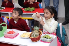 K H Modi Kindergarten Jr. Kg. Vegetable and Fruit Exhibition 2019