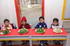 K H Modi Kindergarten Jr. Kg. Vegetable and Fruit Exhibition 2019