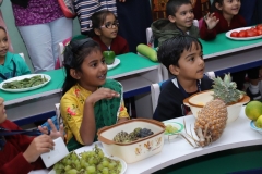 K H Modi Kindergarten Jr. Kg. Vegetable and Fruit Exhibition 2019