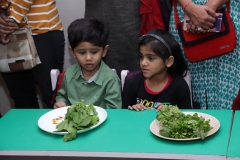 K H Modi Kindergarten Jr. Kg. Vegetable and Fruit Exhibition 2019