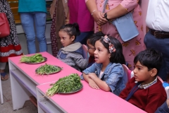 K H Modi Kindergarten Jr. Kg. Vegetable and Fruit Exhibition 2019