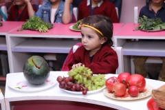 K H Modi Kindergarten Jr. Kg. Vegetable and Fruit Exhibition 2019