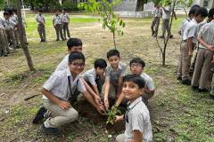 Activities 2024-2025