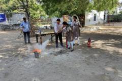 Activities 2024-2025