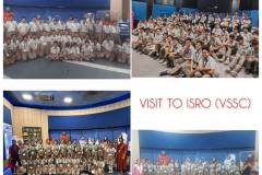 Field Trip 2024-2025