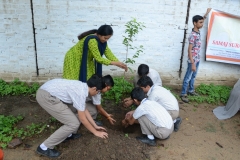 Tree Plantation 2019