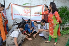 Tree Plantation 2019