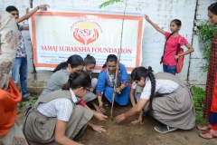 Tree Plantation 2019