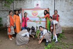 Tree Plantation 2019