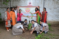 Tree Plantation 2019