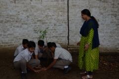 Tree Plantation 2019